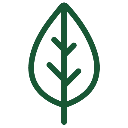 Leaf icon
